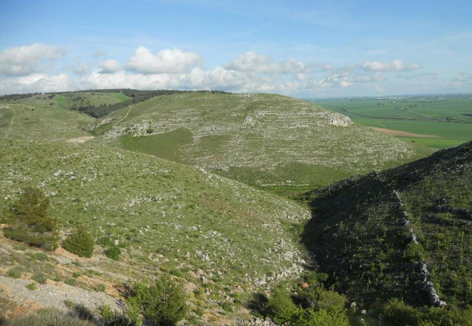 Il Borgo Antico B&B Altamura Bagian luar foto